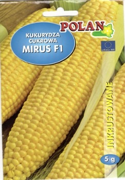 KUKURYDZA KUKURYDZA
