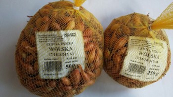 CEBULA CEBULA