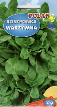 ROSZPONKA ROSZPONKA
