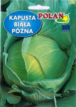 KAPUSTA KAPUSTA
