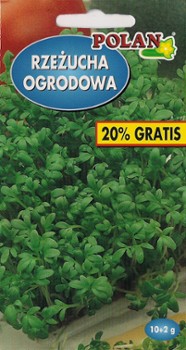 RZEŻUCHA RZEŻUCHA