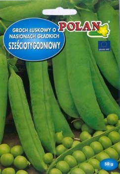 GROCH GROCH