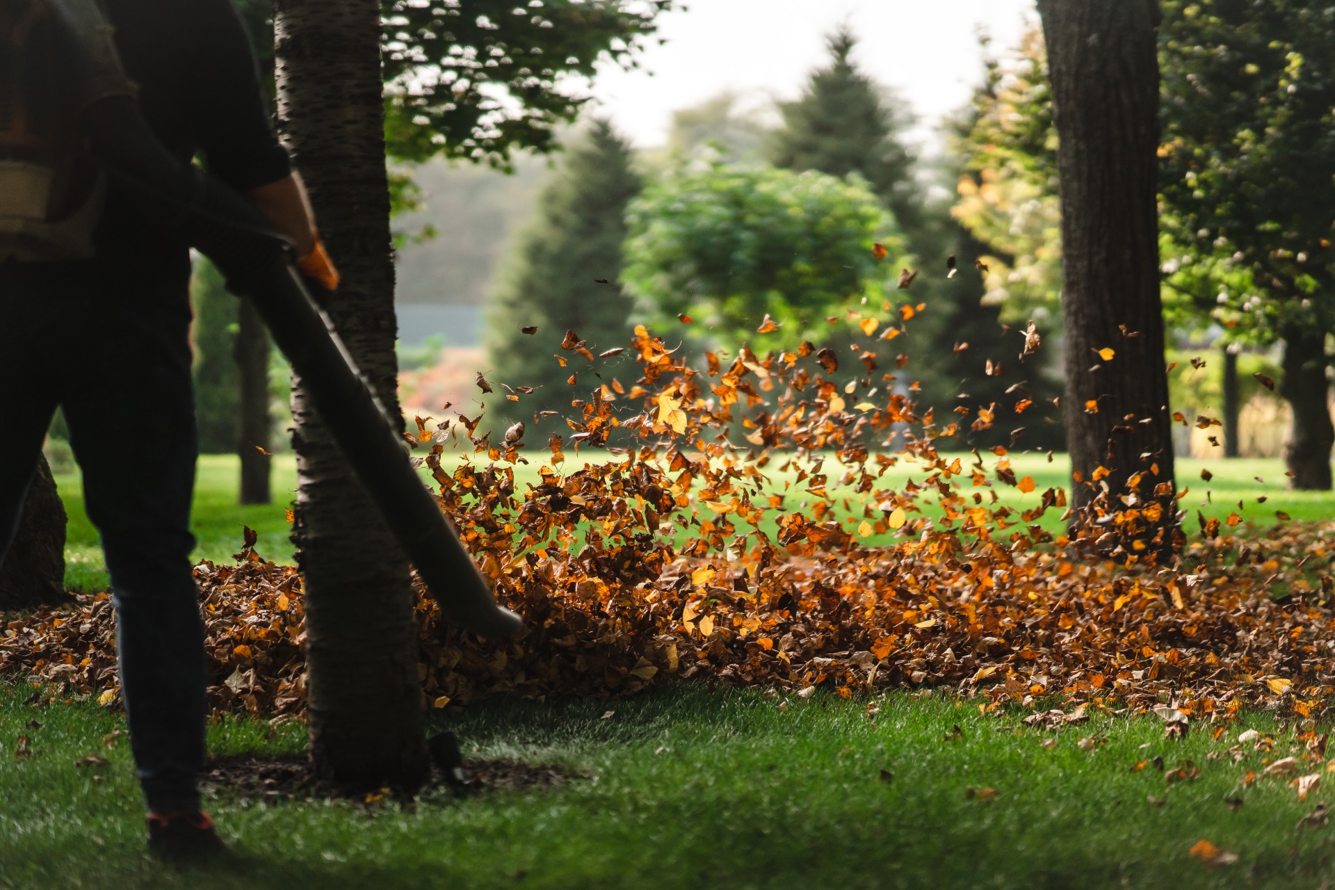 Ogrodowy odkurzacz do liści podczas jesiennych prac w ogrodzie