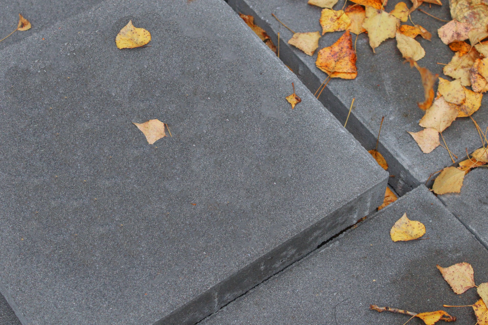 Płyta chodnikowa z betonu