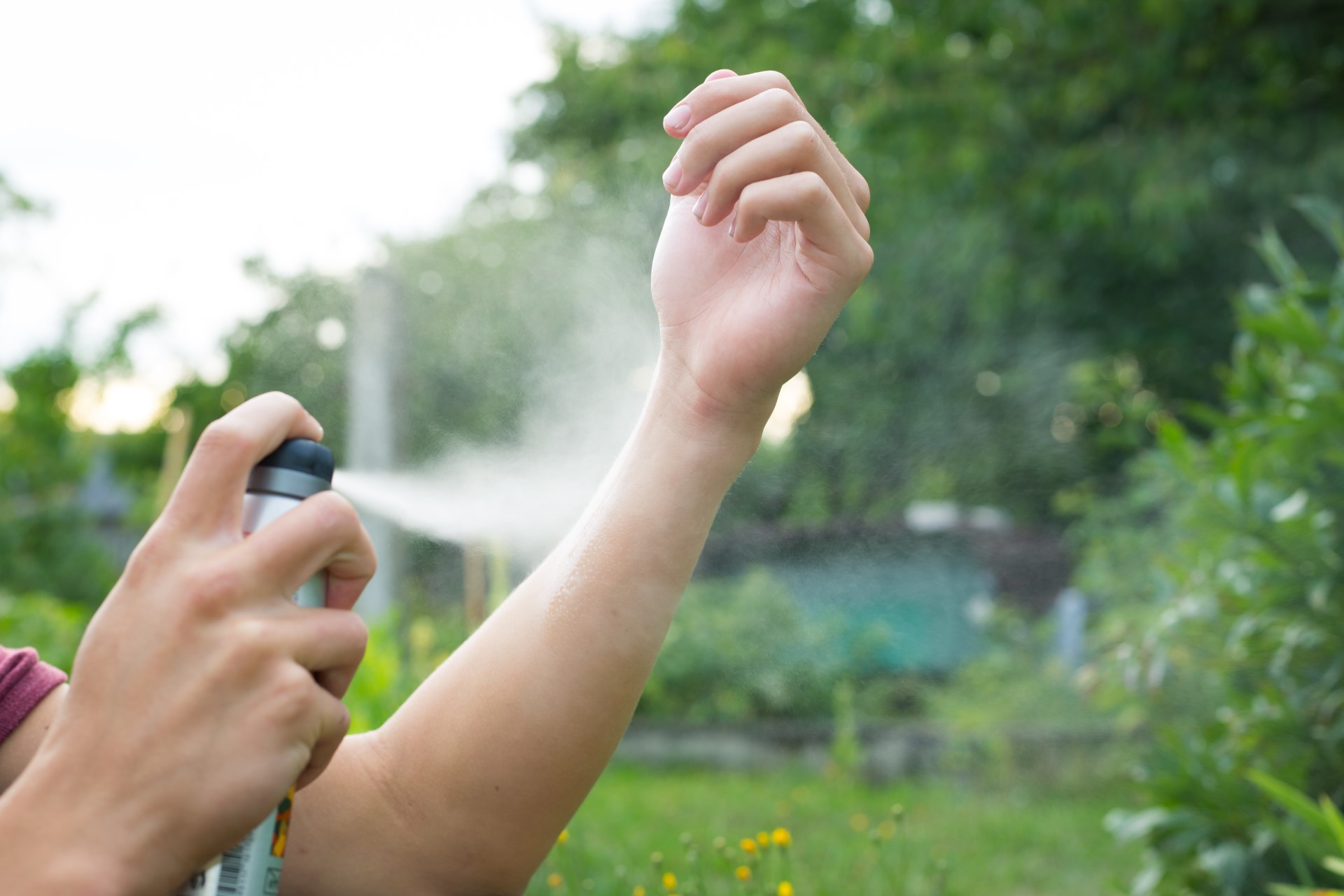 Srodki owadobójcze maja różną formę aplikacji, np. spray, płyn, atomizem