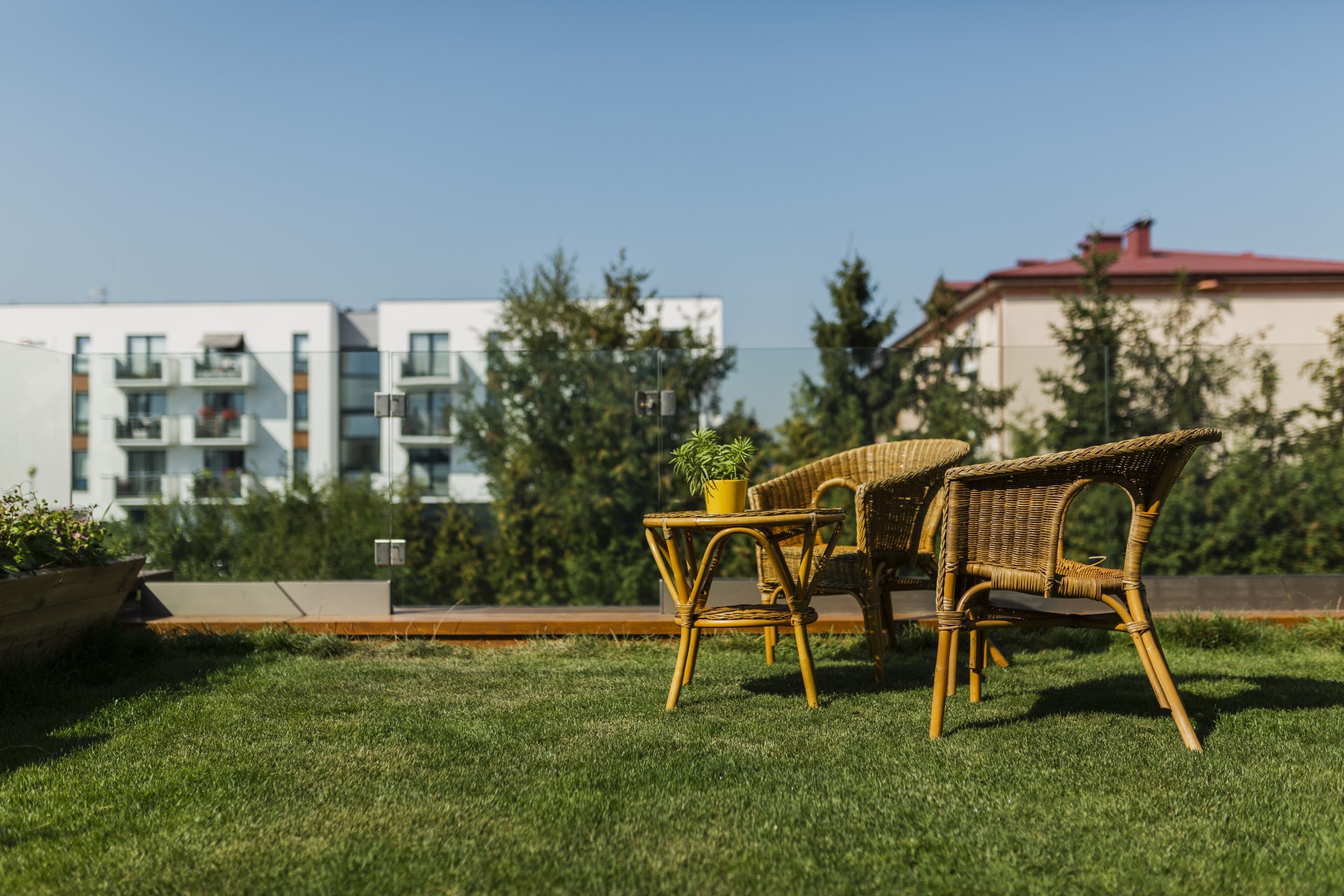 Thermano Roof jako termoizolacja zielonego dachu - blog Lubar